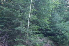 20220620_181726e