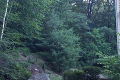 20220620_181729e