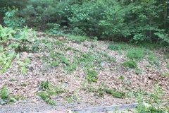 20220621_171703e