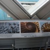 IMG_6020e