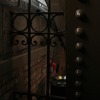 IMG_6037e