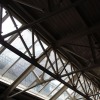 IMG_6109e