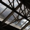 IMG_6110e
