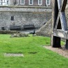 IMG_6114e