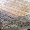 IMG_6164e