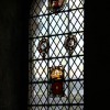 IMG_6166e