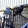 IMG_6187e