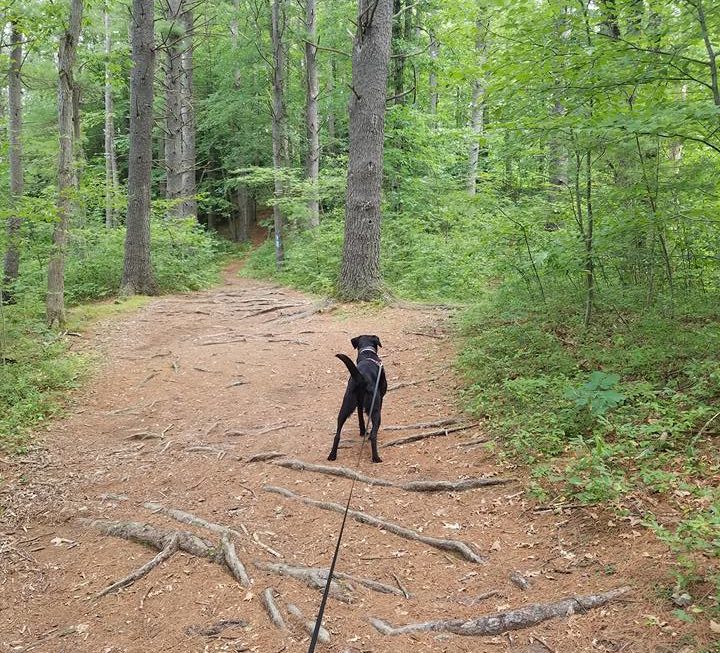First Hike Alone with Ellie