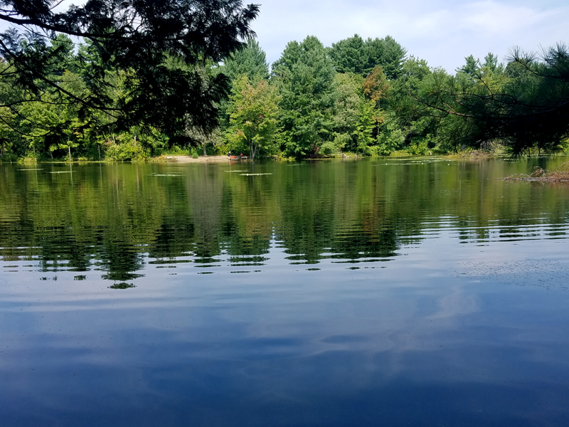 Bower Springs Hike