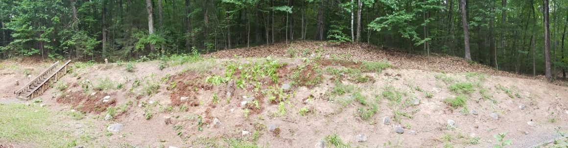 Backyard Project, Phase 1