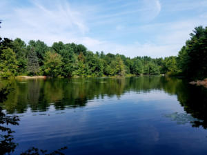 BowerSprings-20180825 113457