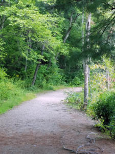 BowerSprings-20180825 113858