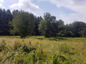 BowerSprings-20180825 122224