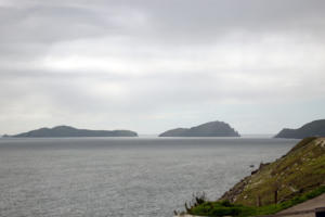 DinglePeninsula 7796-AidansFarm