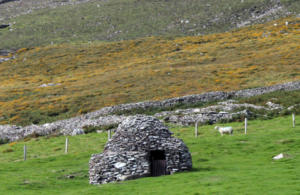 DinglePeninsula 7812-AidansFarm