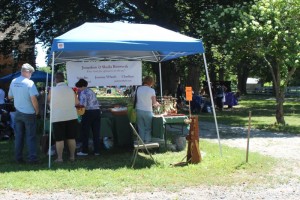 IMG_1815e