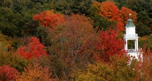 IMG_4555e