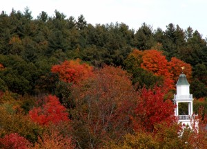 IMG_4556e