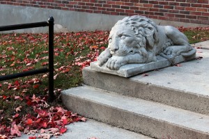 IMG_4567e