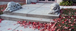 IMG_4569e