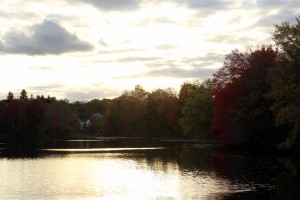 IMG_4592e