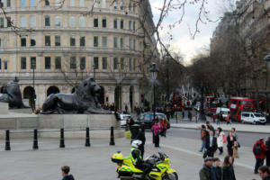 IMG 5925e