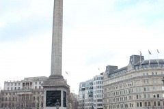 IMG_5909e