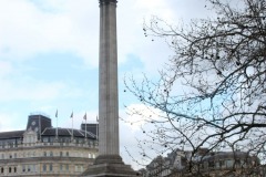 IMG_5920e