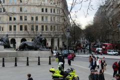 IMG_5925e