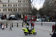 IMG_5926e