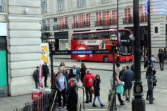 IMG_5937e
