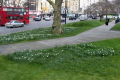 IMG_5974e