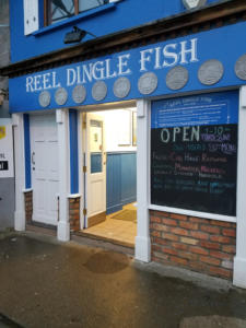 20180911 195352-ReelDingleFish