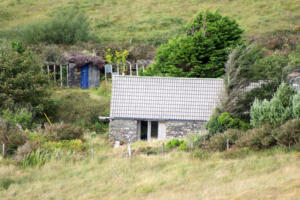 DingleDarkroom 7938