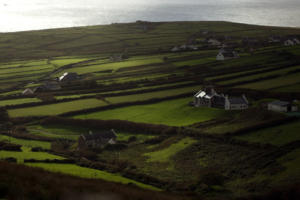 DingleDarkroom 7945