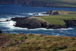 DingleDarkroom 7958