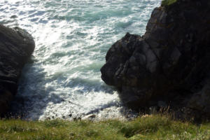 DingleDarkroom 8014