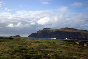 DingleDarkroom 8029