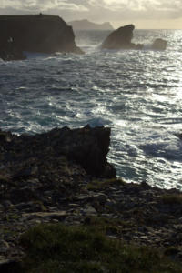DingleDarkroom 8057