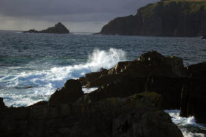 DingleDarkroom 8061