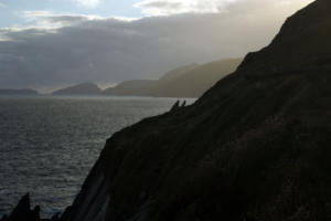 DingleDarkroom 8073