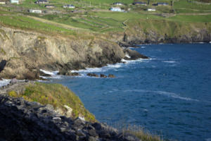 DingleDarkroom 8083